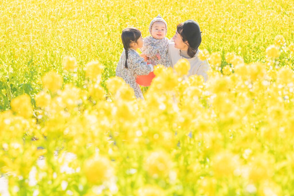 菜の花畑へ 名古屋の写真スタジオ ノーブレム