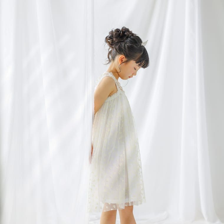 Fujimoto Meguruの作品