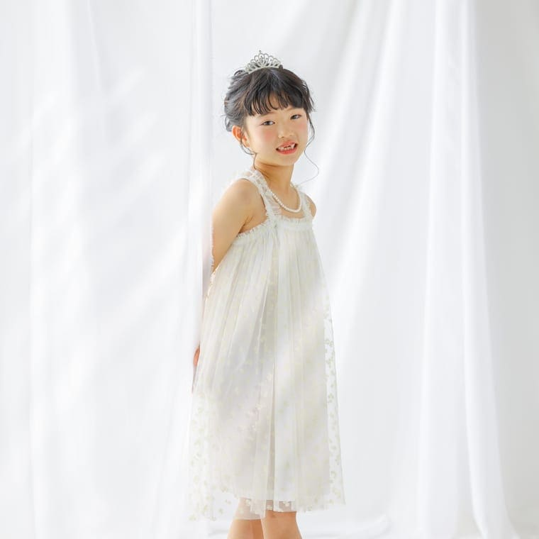 Fujimoto Meguruの作品