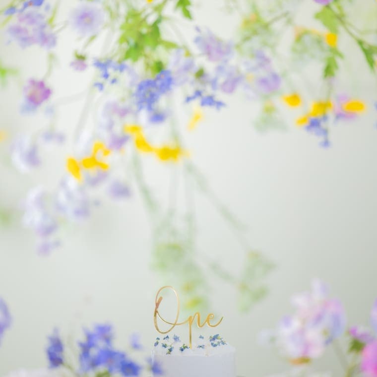 Fujimoto Meguruの作品