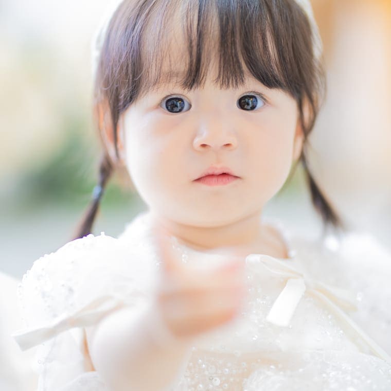 Fujimoto Meguruの作品
