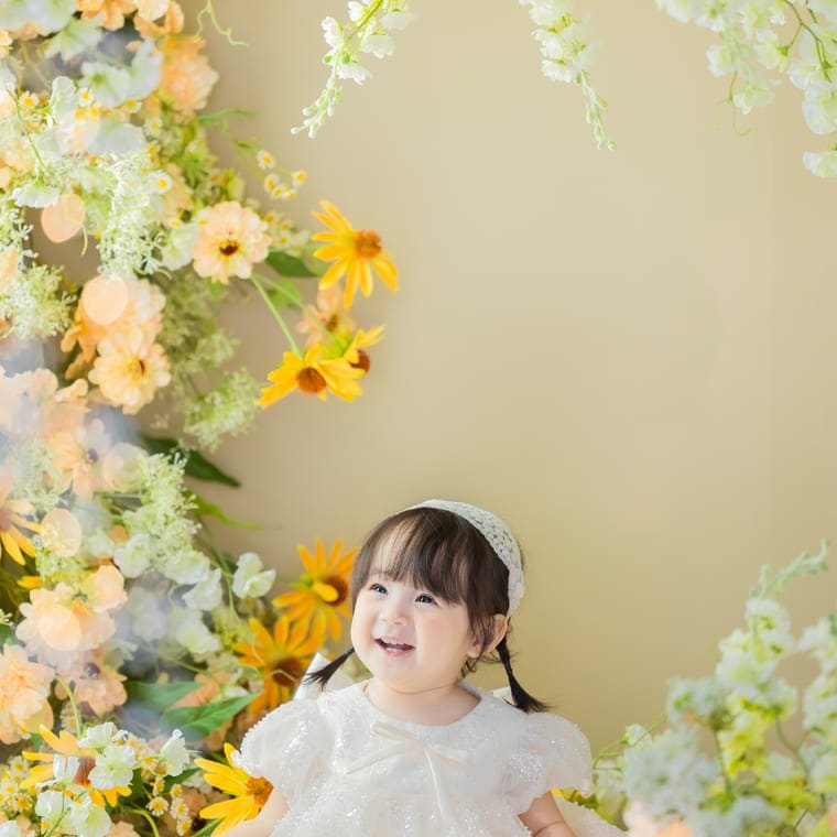Fujimoto Meguruの作品